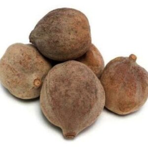 Dried Terminalia Bellirica