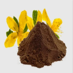 St. John’s Wort Extract Powder